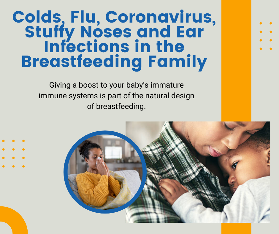 Colds, Flu, Coronavirus, Stuffy Noses, and Ear Infections in the